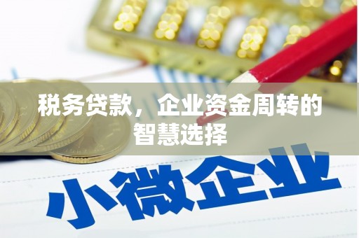 林甸税务贷款，企业资金周转的智慧选择