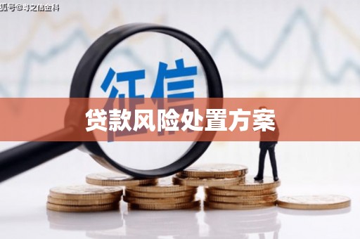 林甸贷款风险处置方案