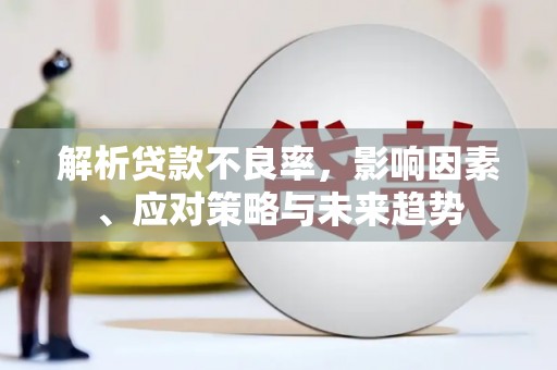 林甸解析贷款不良率，影响因素、应对策略与未来趋势