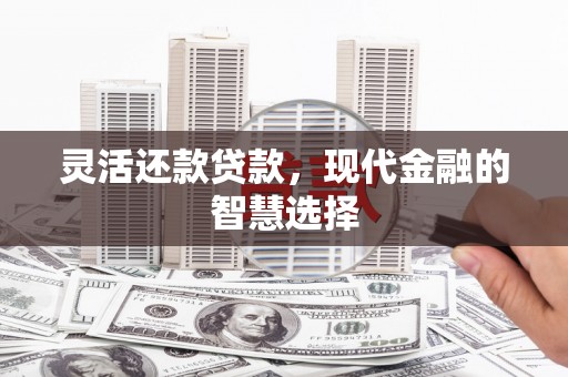 林甸灵活还款贷款，现代金融的智慧选择