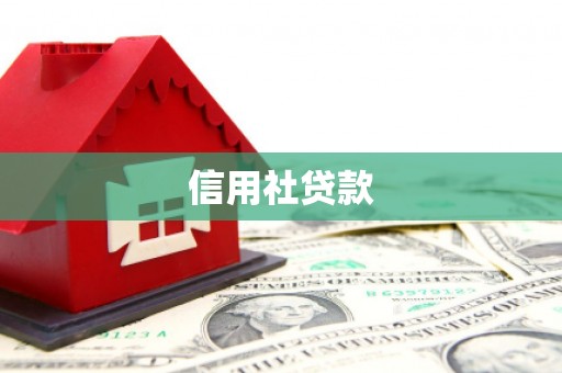 林甸信用社贷款