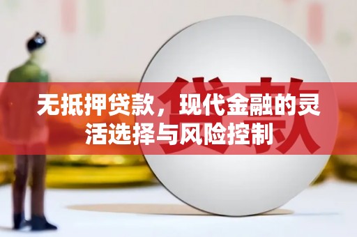 林甸无抵押贷款，现代金融的灵活选择与风险控制