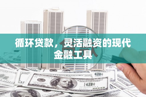 林甸循环贷款，灵活融资的现代金融工具