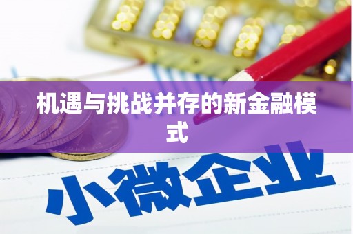 林甸机遇与挑战并存的新金融模式