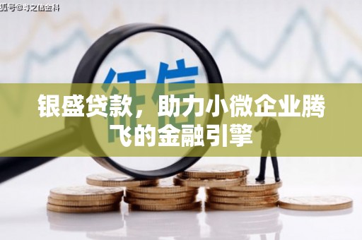 林甸银盛贷款，助力小微企业腾飞的金融引擎