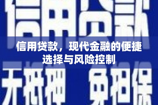 林甸信用贷款，现代金融的便捷选择与风险控制