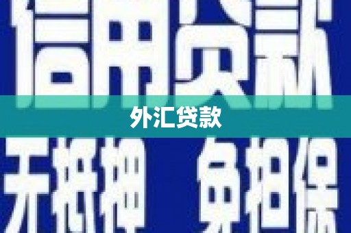 林甸外汇贷款