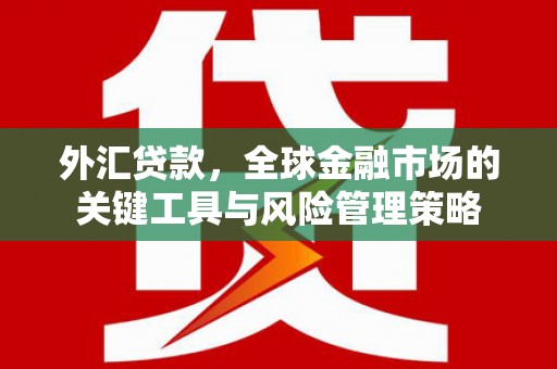 林甸外汇贷款，全球金融市场的关键工具与风险管理策略