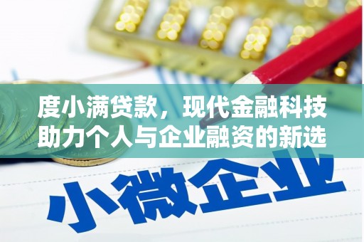 林甸度小满贷款，现代金融科技助力个人与企业融资的新选择