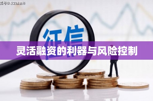 林甸灵活融资的利器与风险控制