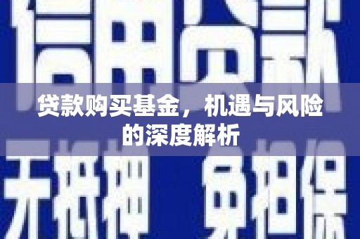 林甸贷款购买基金，机遇与风险的深度解析