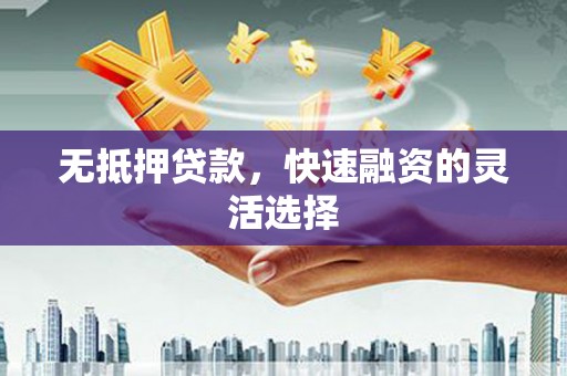 林甸无抵押贷款，快速融资的灵活选择