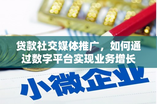 林甸贷款社交媒体推广，如何通过数字平台实现业务增长