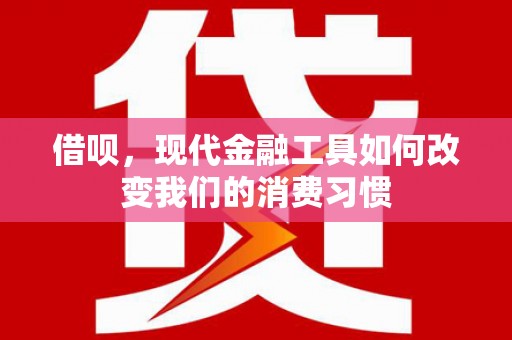 林甸借呗，现代金融工具如何改变我们的消费习惯