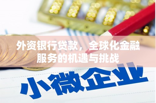 林甸外资银行贷款，全球化金融服务的机遇与挑战