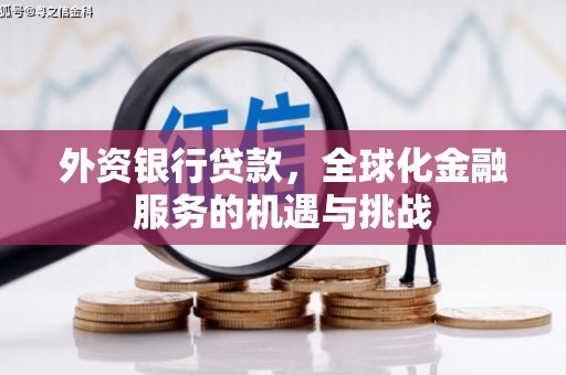 林甸外资银行贷款，全球化金融服务的机遇与挑战