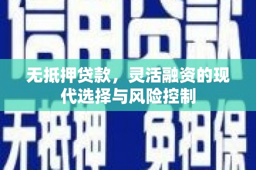 林甸无抵押贷款，灵活融资的现代选择与风险控制