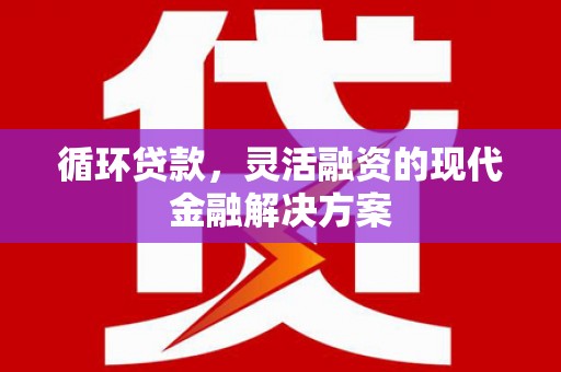 林甸循环贷款，灵活融资的现代金融解决方案