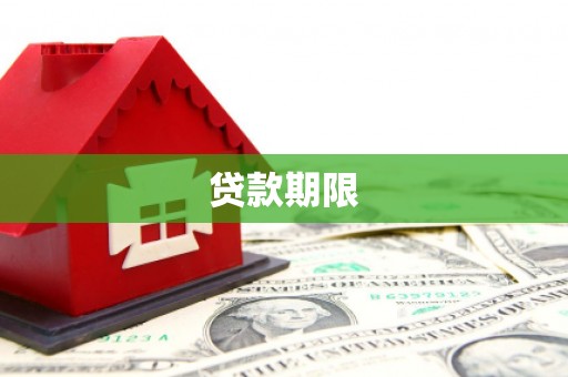 林甸贷款期限