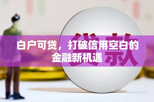 林甸白户可贷，打破信用空白的金融新机遇