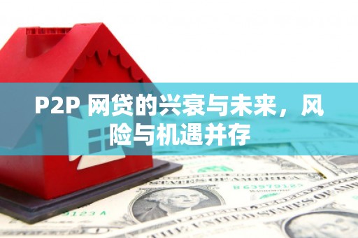 林甸P2P 网贷的兴衰与未来，风险与机遇并存