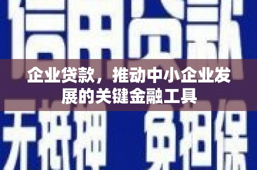 林甸企业贷款，推动中小企业发展的关键金融工具