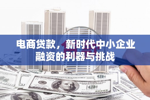 林甸电商贷款，新时代中小企业融资的利器与挑战