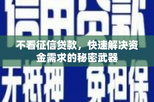 林甸不看征信贷款，快速解决资金需求的秘密武器