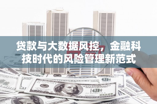 林甸贷款与大数据风控，金融科技时代的风险管理新范式