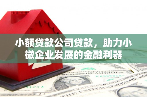 林甸小额贷款公司贷款，助力小微企业发展的金融利器