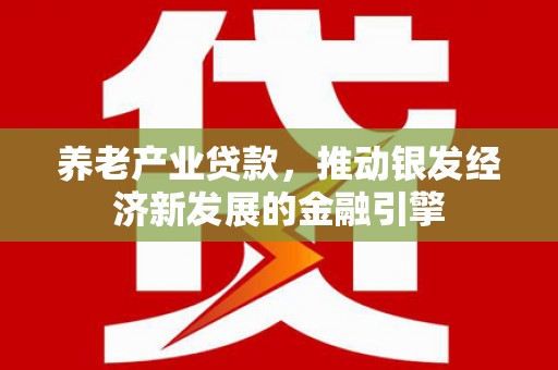 林甸养老产业贷款，推动银发经济新发展的金融引擎