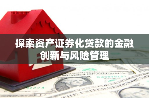 林甸探索资产证券化贷款的金融创新与风险管理