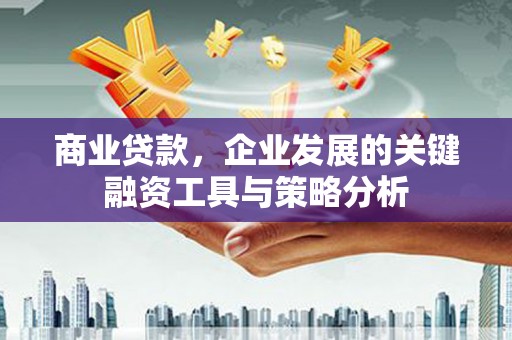 林甸商业贷款，企业发展的关键融资工具与策略分析