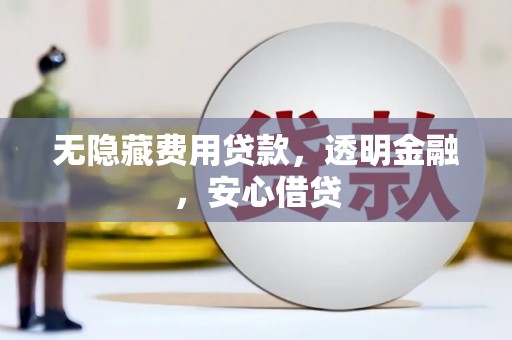 林甸无隐藏费用贷款，透明金融，安心借贷