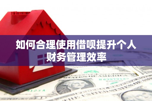 林甸如何合理使用借呗提升个人财务管理效率