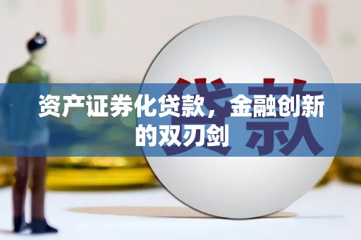 林甸资产证券化贷款，金融创新的双刃剑