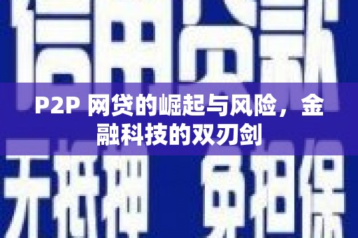 林甸P2P 网贷的崛起与风险，金融科技的双刃剑
