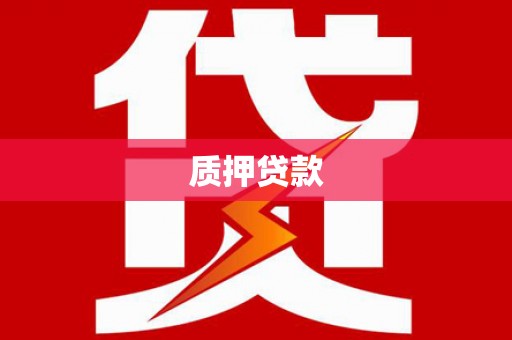 林甸质押贷款