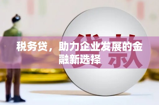 林甸税务贷，助力企业发展的金融新选择