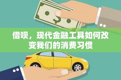 林甸借呗，现代金融工具如何改变我们的消费习惯