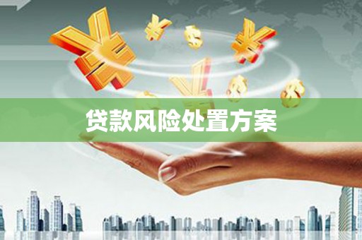 林甸贷款风险处置方案