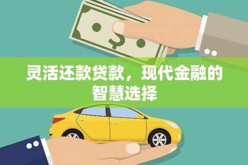 林甸灵活还款贷款，现代金融的智慧选择
