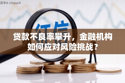 林甸贷款不良率攀升，金融机构如何应对风险挑战？