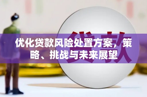 林甸优化贷款风险处置方案，策略、挑战与未来展望