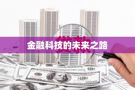 林甸金融科技的未来之路