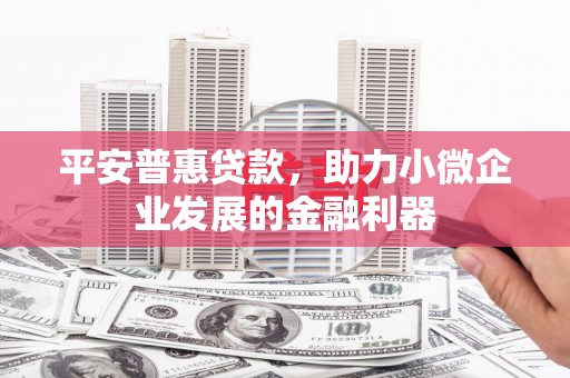 林甸平安普惠贷款，助力小微企业发展的金融利器