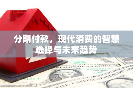 林甸分期付款，现代消费的智慧选择与未来趋势
