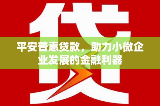 林甸平安普惠贷款，助力小微企业发展的金融利器