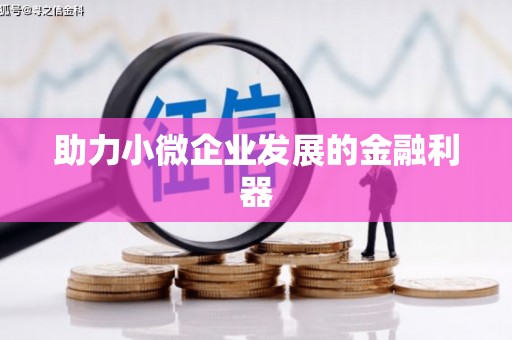 林甸助力小微企业发展的金融利器
