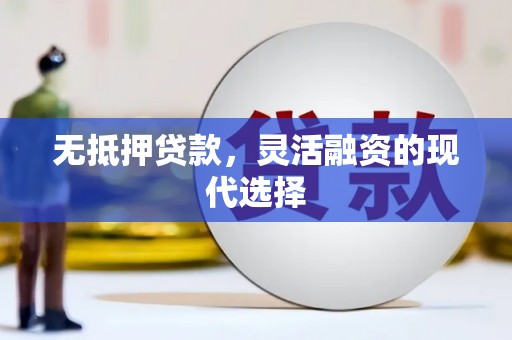 林甸无抵押贷款，灵活融资的现代选择